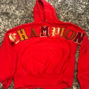 Champion hoodie
